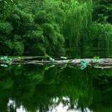 患得患失
