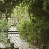 逍遥逸仙