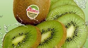 奇异果和猕猴桃有什么区别