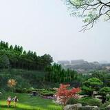 黄河宸宝贝