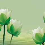 王玉清