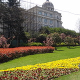 圆圆与我