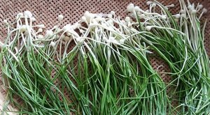 开春5大“黄金”野菜，好吃又防病！