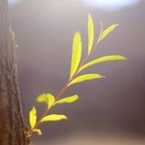 潮起潮落