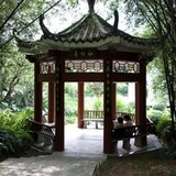 鱼眼看世界