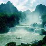 黄毛毛