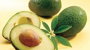 跟我学，两周种出好看的牛油果盆栽