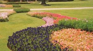 园林植物按光照和温度划分的类型