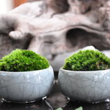 西西想吃瓜