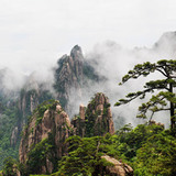 禅心