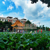 太行火凤凰