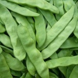 小的说
