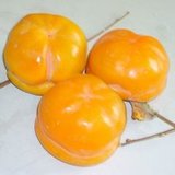 吉林琪轩