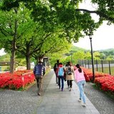 刘安伦