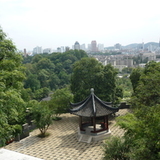 贾小怂