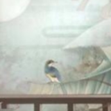 王木木