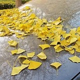尤长荣