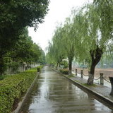 马鸿父