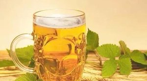 啤酒浇花，使盆栽绿植油光水亮