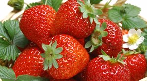 八种超过瘾的草莓吃法