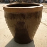 潇明宇飒