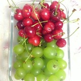明月昙花