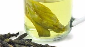 说说苦丁茶文化