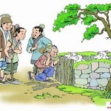 秦若羽