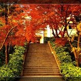 春光无限好