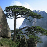 丁未